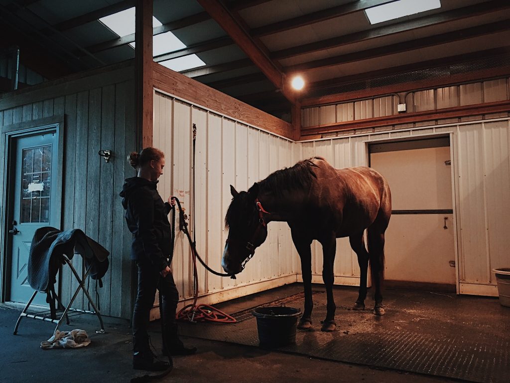 Horse in stable with woman.