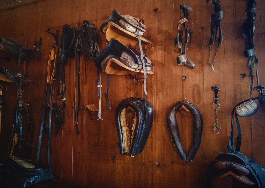 Saddles and bridles hanging on wooden wall in equestrian stable, illustrating horse care and stable maintenance.